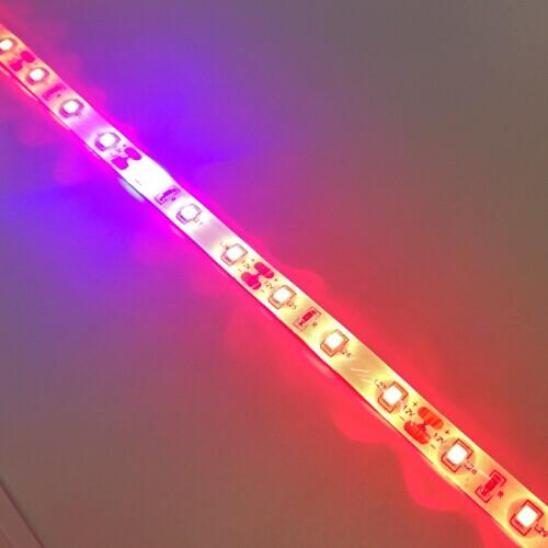 Plant Growth RED:BLUE /660nm:460nm  LED Grow Light  SMD2835 60LEDs  12W Per Meter Strip - LEDStrips8