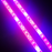 Plant Growth RED:BLUE /660nm:460nm  LED Grow Light  SMD2835 120LEDs  24W Per Meter Strip - LEDStrips8