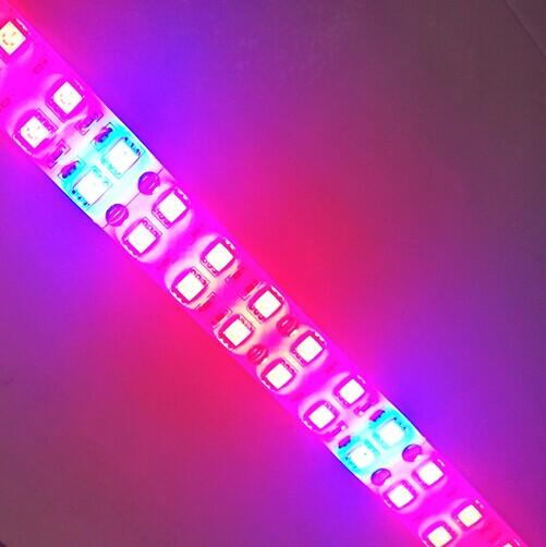 Plant Growth RED:BLUE /660nm:460nm  LED Grow Light  SMD3528 240LEDs  24W Per Meter Strip - LEDStrips8