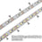 DC 12V Dimmable SMD3528-600 Flexible LED Strips 120 LEDs Per Meter 8mm Width 600lm Per Meter - LEDStrips8