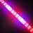 Plant Growth RED:BLUE /660nm:460nm  LED Grow Light  SMD5050 120LEDs  28.8W Per Meter Strip - LEDStrips8