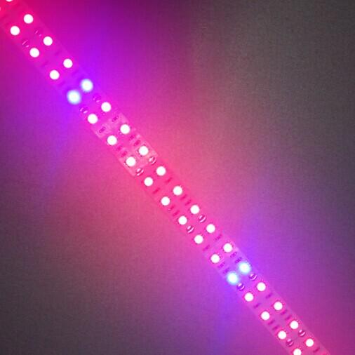 Plant Growth RED:BLUE /660nm:460nm  LED Grow Light  SMD3528 240LEDs  24W Per Meter Strip - LEDStrips8