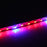Plant Growth RED:BLUE /660nm:460nm  LED Grow Light  SMD5050 30LEDs  7.2W Per Meter Strip - LEDStrips8
